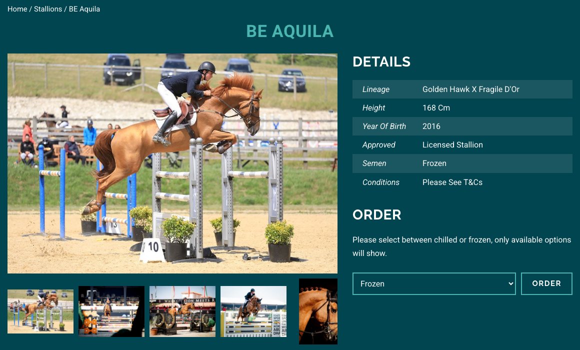 صفحة أحد الفحول على موقع Breen Equestrian، تعرض معرض صور القفز وبيانات الفحل وأداة اختيار طلب خدمة التربية