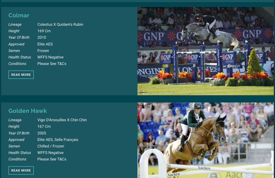 صفحة الفحول على موقع Breen Equestrian، مع مرشحات لسنة الميلاد ونوع الخدمة (مجمّدة أو مبرّدة) والارتفاع فوق بيانات أحد الفحول