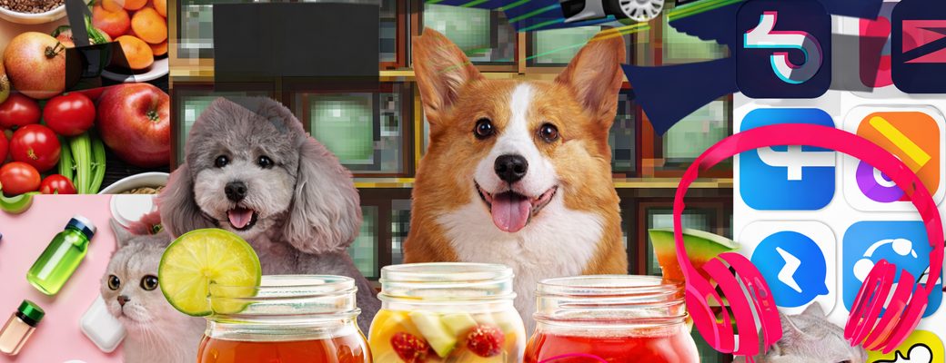 Un collage de produits et d’animaux de compagnie utilisés dans des enquêtes d’études de marché