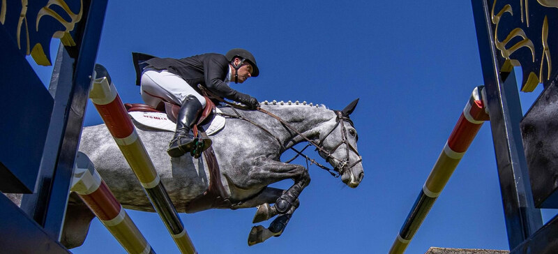 A grey horse and rider clearing a show-jumping fence, photographed from below against a clear blue sky