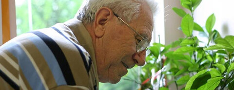 An older man in a striped jumper smiling beside houseplants at a window, from the Prime Care website
