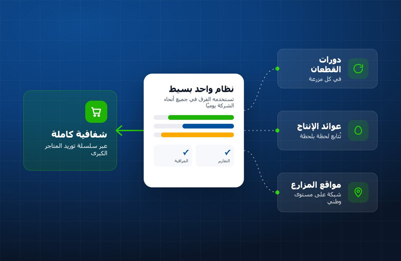 رسم توضيحي: دورات القطعان وعوائد الإنتاج ومواقع المزارع تتدفق إلى نظام واحد بسيط يمنح شفافية كاملة عبر سلسلة توريد المتاجر الكبرى